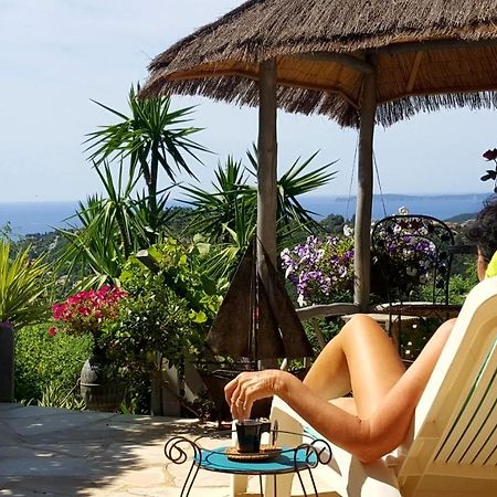 Nouveau ! Chambre D'Hote Insolite Privee " Coeurs De Pirates A Bali En Provence" Spa Sauna Massages Dans Cadre Exotique D'Amenagements Exterieurs D'Exception Ete Comme Hiver Bienvenue !!! Cavalaire-sur-Mer Dış mekan fotoğraf